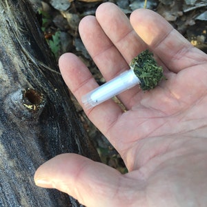 May include: A hand holding a white paper tube filled with green dried herbs. The tube is approximately 12.5 cm long and 2.5 cm in diameter.