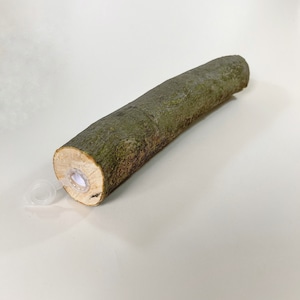 May include: A brown wooden stick with a clear plastic ring attached to one end. The stick has a hole drilled through it.