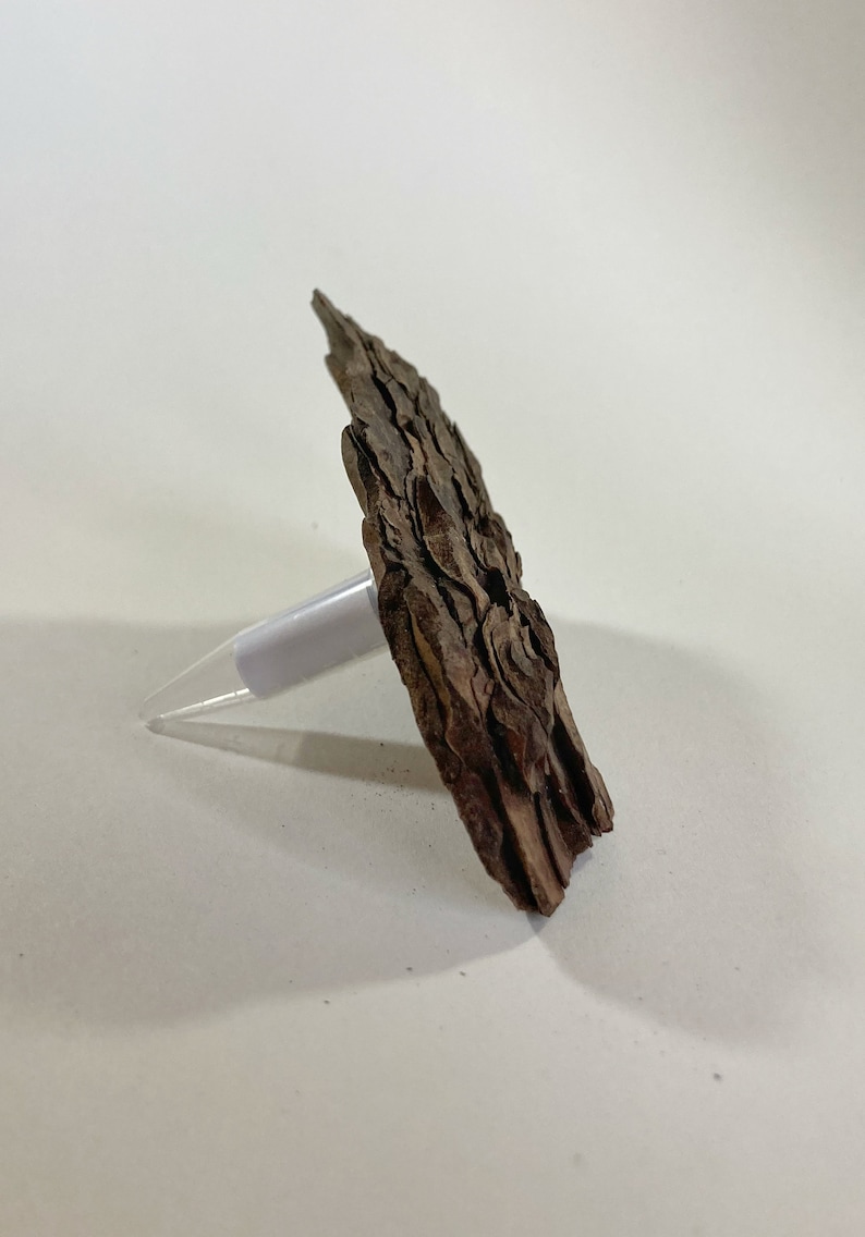 Handmade Bark Geocache Container – Unique Disguised Outdoor Cache for ...