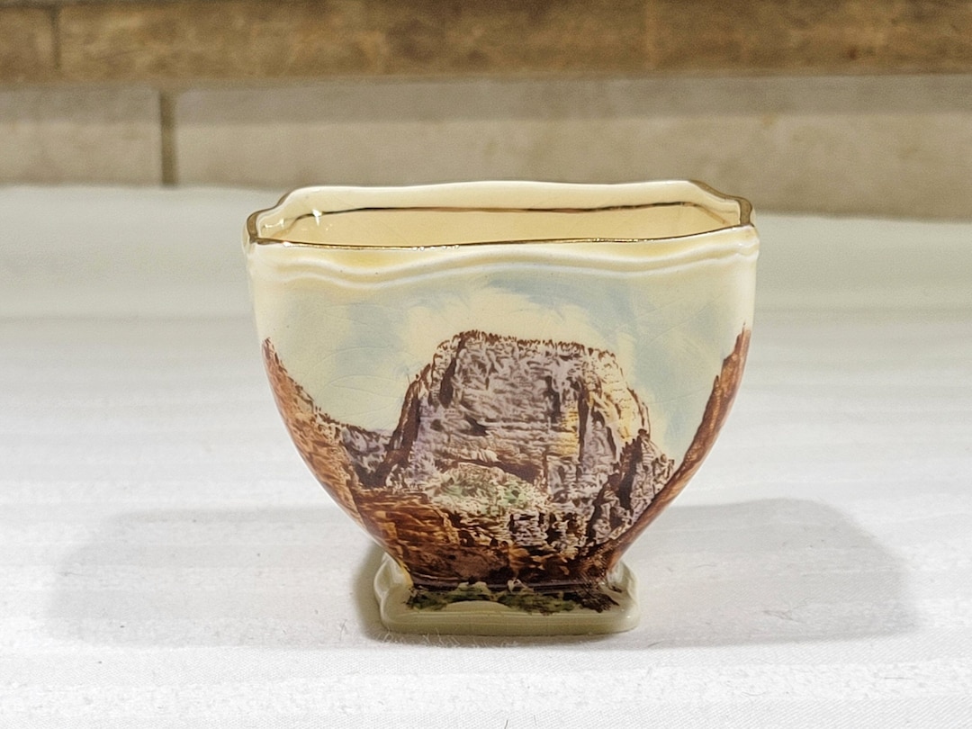 Pretty Vintage Zion National Park Souvenir Cup Royal Winton Etsy