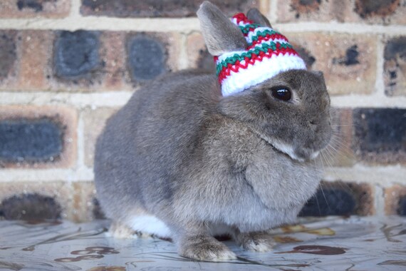 Bonnet de Noël pour les petits lapins rouge vert blanc avec | Etsy Bonnet de Noël pour les petits lapins rouge vert blanc avec | Etsy