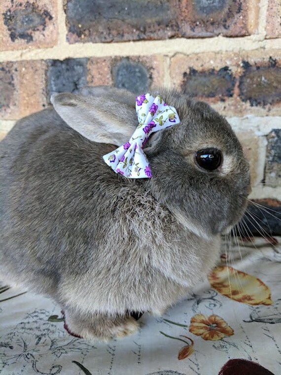 Purple floral bows for bunnies pet rabbit bows pet bunny Etsy