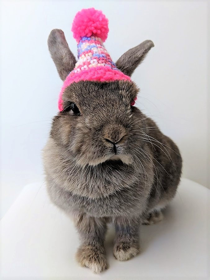 Bonnet rose pour les lapins bonnet lapin domestique chapeau | Etsy Bonnet rose pour les lapins bonnet lapin domestique chapeau | Etsy