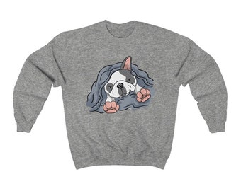 French Bulldog sweatshirt, dog sweatshirt, dog lover gift, cute dog sweatshirt, sleepy dog, 5 more minutes