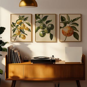 K&ouml;nnte beinhalten: Drei gerahmte botanische Drucke mit Nahaufnahmen von Zitrusfr&uuml;chten. Die Drucke h&auml;ngen an einer wei&szlig;en Wand &uuml;ber einem Holzschr&auml;nkchen mit einem Plattenspieler und einem Stapel Schallplatten.