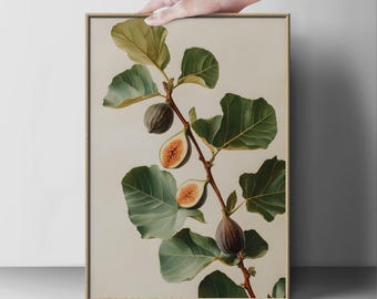 Botanical Fig Tree Print, Glossy Figs, Minimalist Style (Unframed)