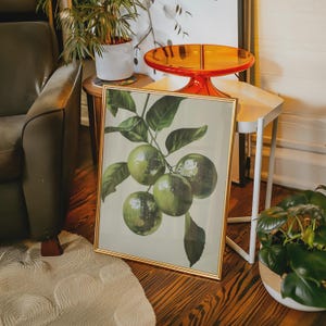 K&ouml;nnte beinhalten: Ein gerahmter Druck eines gr&uuml;nen Zitruszweigs mit f&uuml;nf Limetten. Der Rahmen ist golden und der Hintergrund ist hellgr&uuml;n. Der Druck befindet sich auf einem Tisch mit einer wei&szlig;en Oberfl&auml;che.