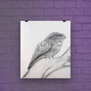 Tawny Frogmouth by Kristen Jacobson | 5x7 Fine Art Print | Satin Finish