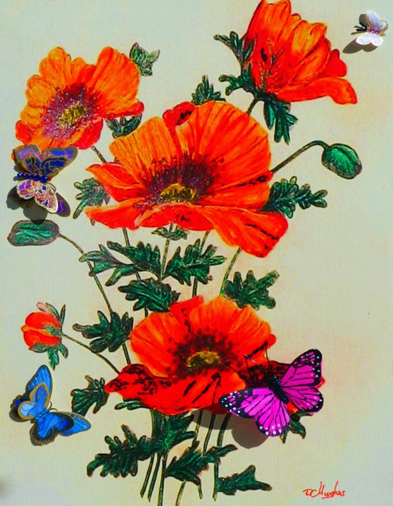 POPPIES with BUTTERFLIES, Stretched Canvas Digital Print, Size 11 X 14 inches