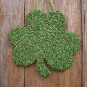 St. Patrick's Day Wreath, St. Patrick's Day Door Hanger, Shamrock Door Hanger, Shamrock, Moss Decor, St. Patrick's Day Decor, Front Door image 5