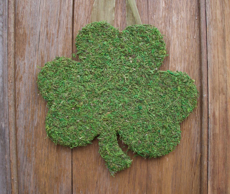 St. Patrick's Day Wreath, St. Patrick's Day Door Hanger, Shamrock Door Hanger, Shamrock, Moss Decor, St. Patrick's Day Decor, Front Door image 5