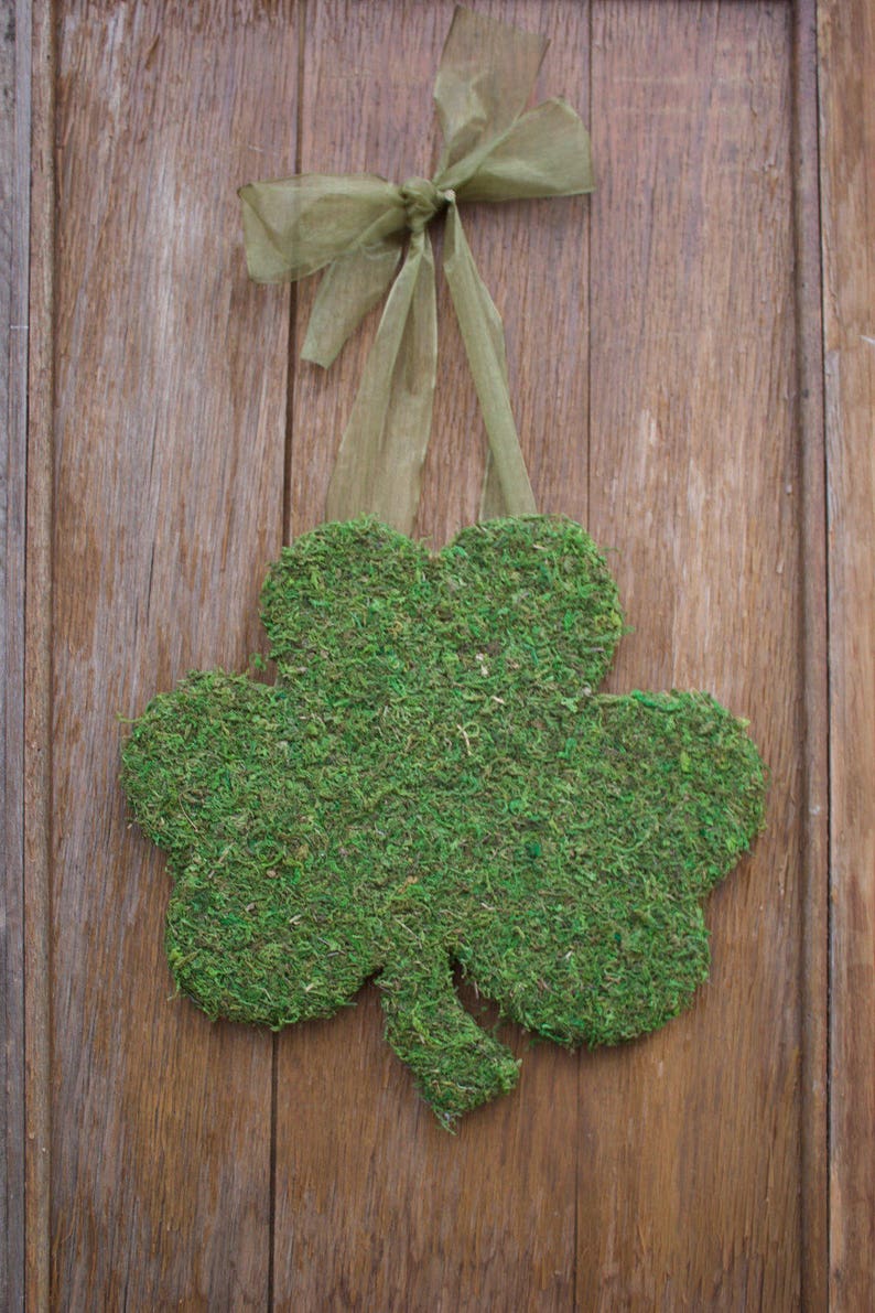 St. Patrick's Day Wreath, St. Patrick's Day Door Hanger, Shamrock Door Hanger, Shamrock, Moss Decor, St. Patrick's Day Decor, Front Door image 2