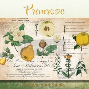 PRIMROSE- Redesign with Prima - Furniture Decor Decoupage Tissue Paper 19&quot;x30&quot;