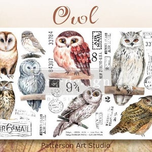 May include: A digital paper pack featuring illustrations of owls with vintage postage stamps and the text "Owl" and "Patterson Art Studio".