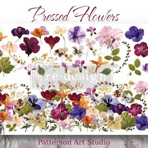 PRESSED FLOWERS - Rub on Furniture Transfer,  Furniture Decal, Redesign with Prima - Presses Flowers 24&quot; x 35&quot;
