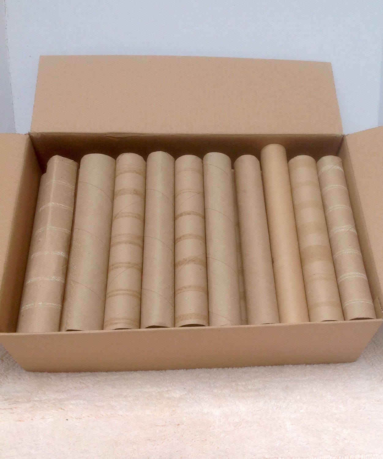 48 Recycled Paper Towel Rolls PT Tubes Cardboard Rolls | Etsy