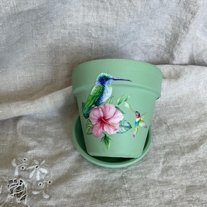 May include: A sage green terracotta plant pot with a matching saucer, featuring a colorful decal of a large hummingbird perched above a pink hibiscus flower and a smaller hummingbird in flight, rendered in vibrant shades of green, blue, and pink.