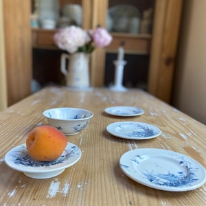 May include: A set of white ceramic tableware featuring blue landscape illustrations, including three small plates and one bowl. A single orange apricot rests on one of the plates. The pieces have a smooth finish and detailed blue patterns.