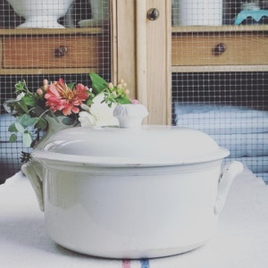 Beautiful rare find vintage French ironstone soup tureen STR image 2