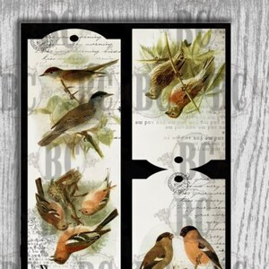 Nature Ephemera: Junk Journal Inserts, Tags, Pockets (Digital Download)