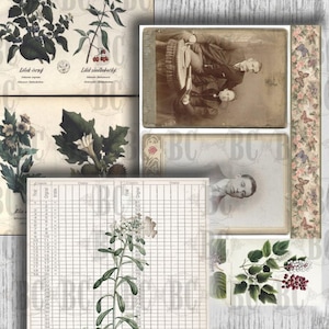 Vintage Herbal Travel Journal, Ephemera, Digital download, Printable