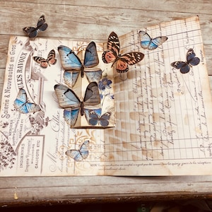 Page/carte POP-UP de journal Étiquette papillon Conception numérique Imprimable