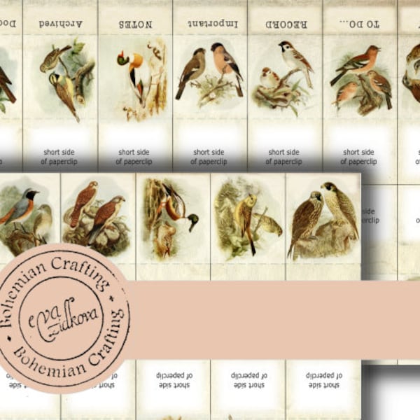 Vintage Birds hidden paperclips Digital design Printable Ephemera