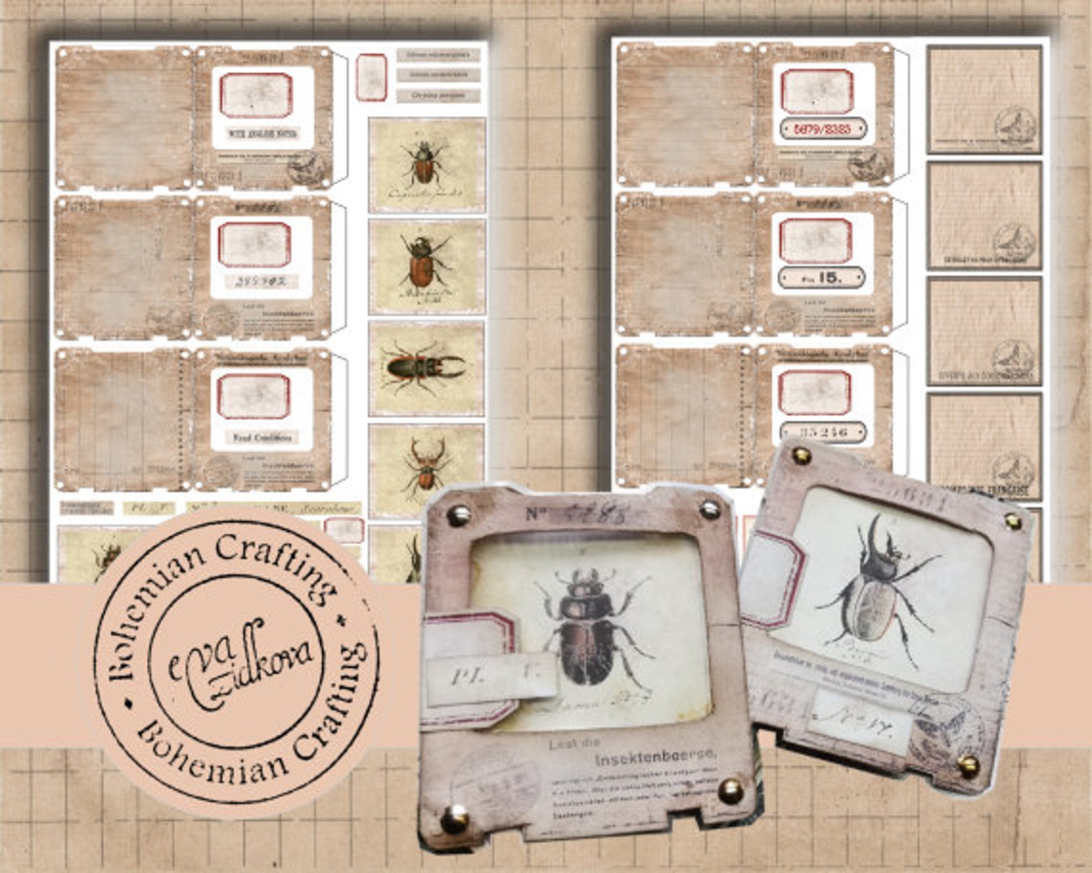 Specimen Slides Digital Download Printable Ephemera for Journal Vintage ...