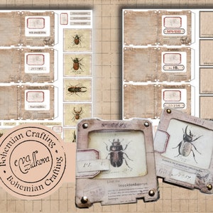 Specimen slides Digital Download Printable Ephemera for Journal Vintage