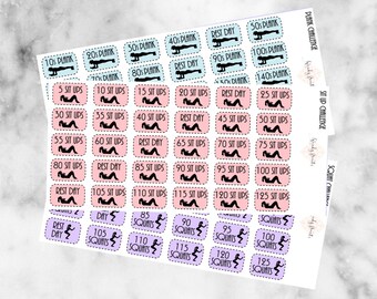 W13 Squats, Planks, Sit Ups, Fitness Challenge Stickers, Daily Stickers, Planner Stickers, Exercise Stickers, Weight Stickers, Workout, body