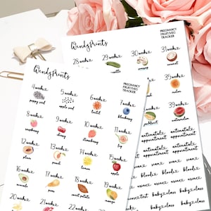 Schwangerschaft Bump Obst und Gemüse Schwangerschaft Wochen Tracker Aufkleber | Schwangerschaft Aufkleber | Baby-Aufkleber | Neu Baby-Planer | Schwangerschafts-Tracker