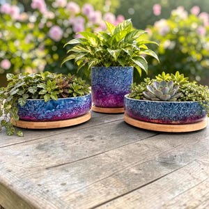 May include: Three ceramic planters with a vibrant blue and purple mottled glaze finish. Each planter sits on a circular light wood base. The two wider, shallow planters contain green foliage and succulents, while the taller central planter holds a leafy plant.
