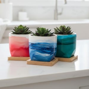 May include: Three small succulent plants in colorful ceramic pots. The pots are painted with vibrant colors: red, blue, and teal. Each pot sits on a small, square wooden coaster. The plants have green leaves and are arranged on a white countertop.