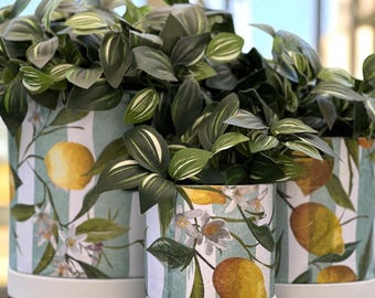 Maceta de terracota con rayas de limón: Decoupage floral rústico con plato blanco