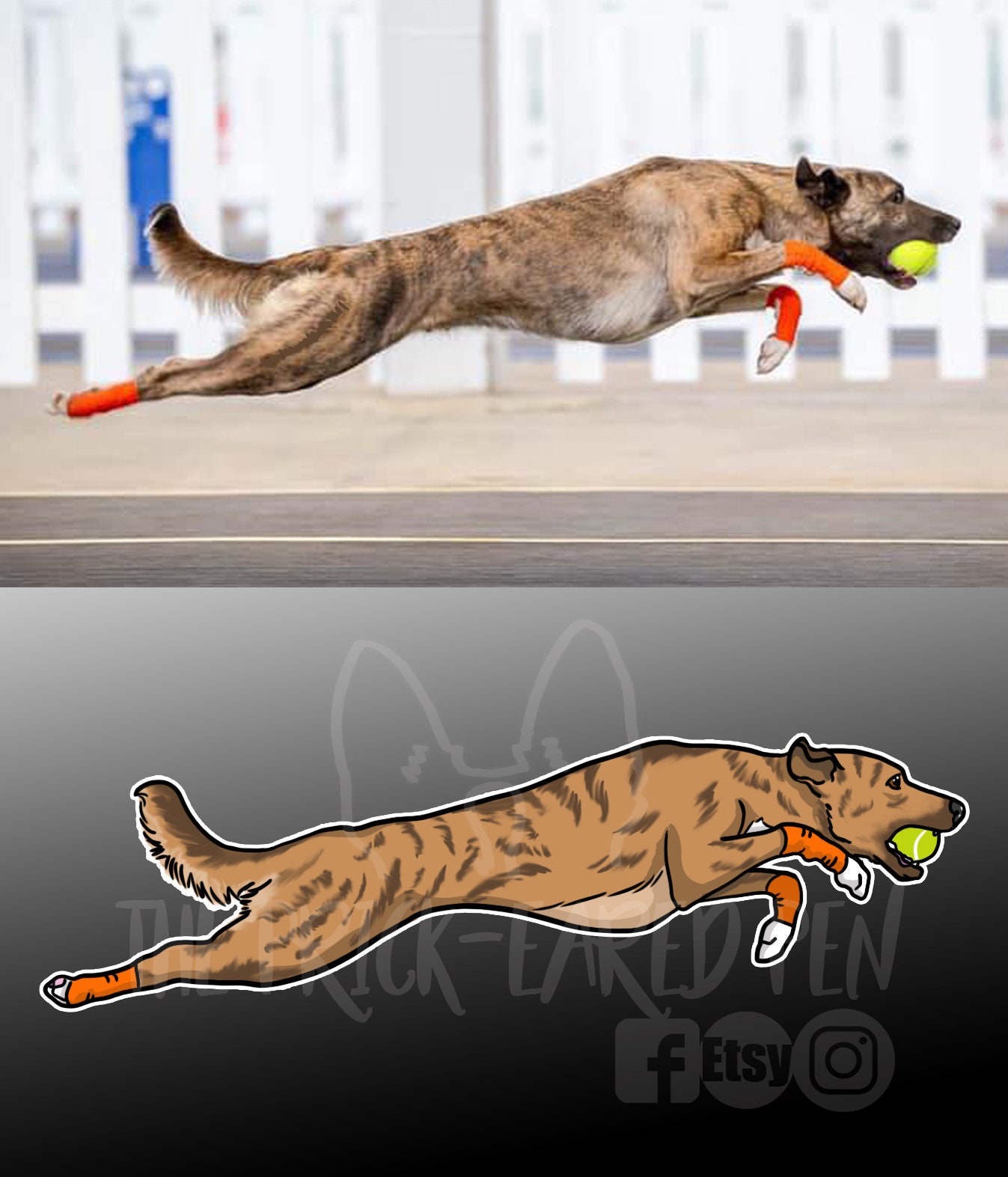 Custom Die Cut Pet Decal Etsy