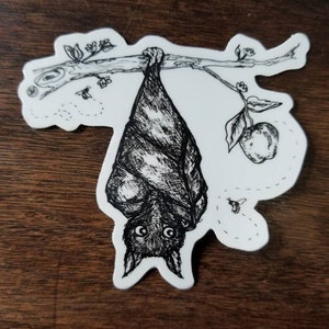 May include: A black and white line drawing of a bat hanging upside down from a branch. The bat has large eyes and is drawn in a cartoon style. There are small bees and a fruit on the branch.