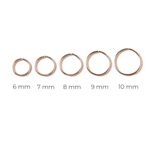 Puede incluir: Cinco aros de oro para pendientes en diferentes tama&ntilde;os, que van de 6 mm a 10 mm de di&aacute;metro.