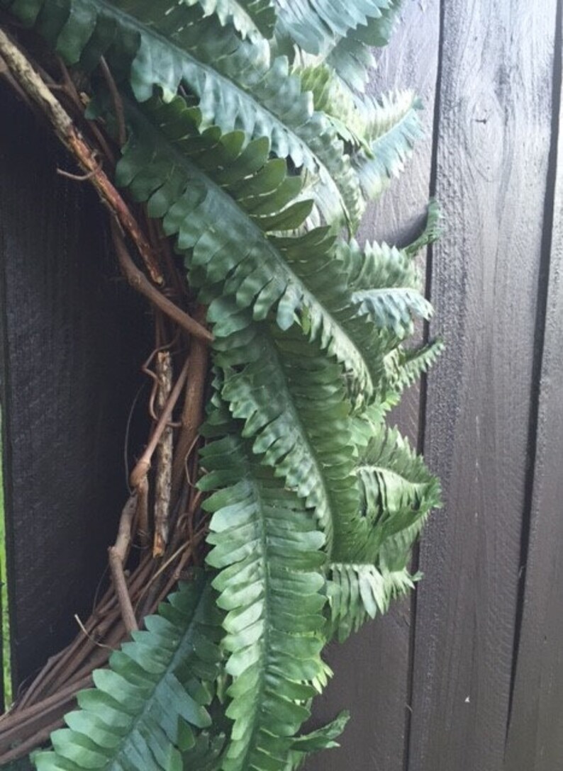 Fern Wreath Etsy