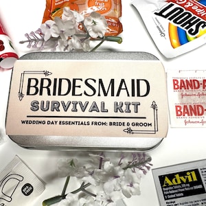 Bridesmaid Wedding Day Survival Kit Gift, Will You Be My Bridesmaid  Hangover Emergency Kit, Bridesmaid Gift Box Tin 