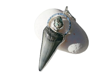Hastalis Shark Tooth Pendant: Sterling Silver Fossil Necklace with Emerald