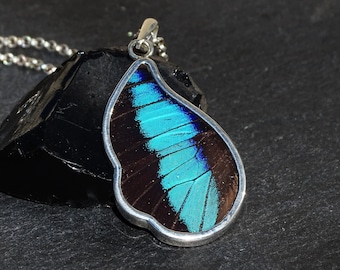 Collar con colgante de mariposa morfo azul en plata de ley