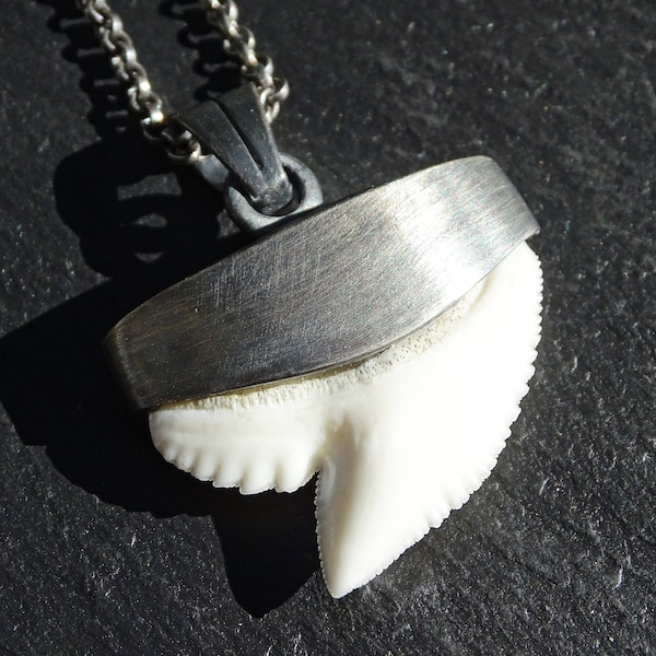 Tiger Shark Tooth - Etsy