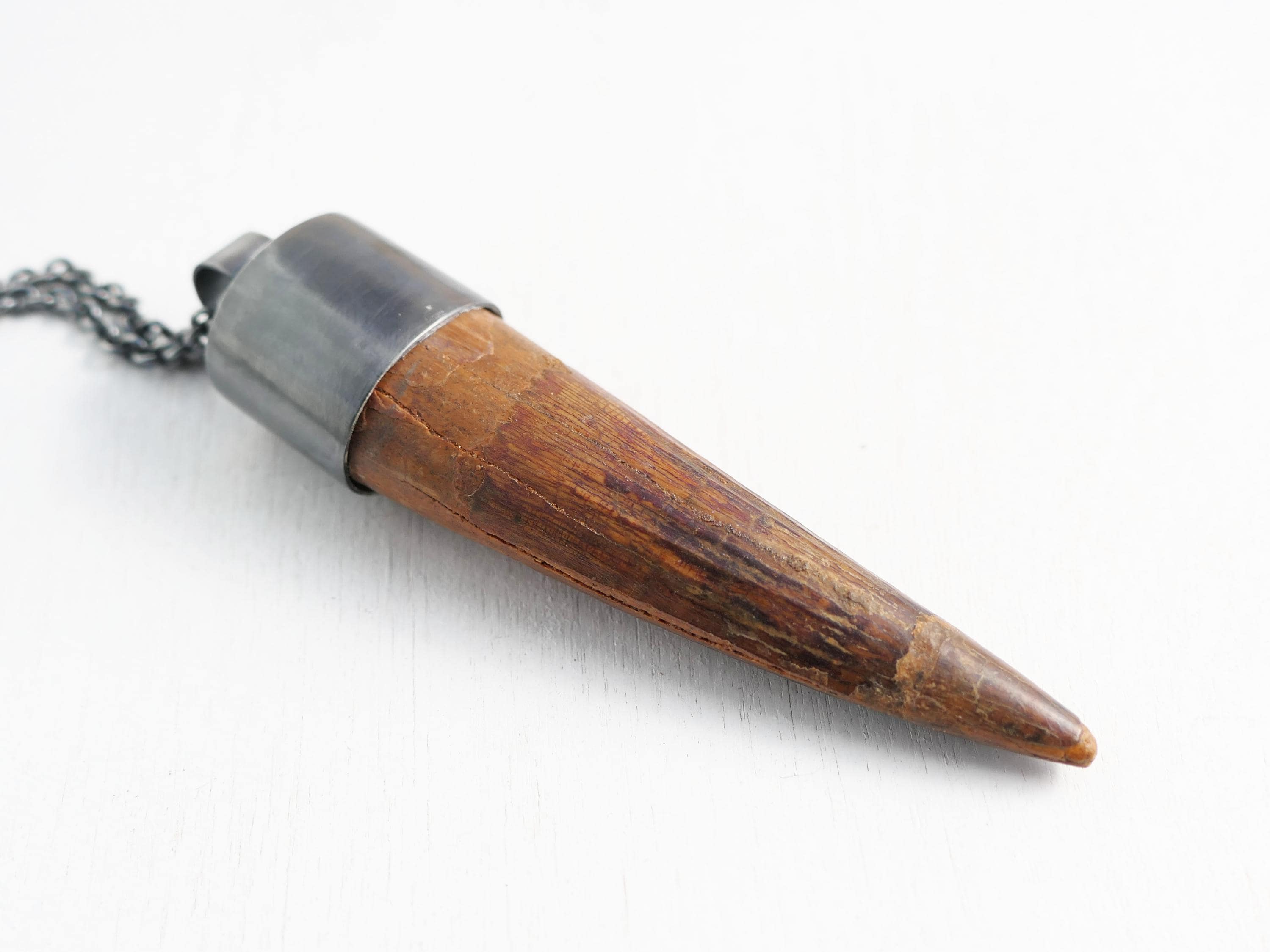 Huge Spinosaurus Tooth Necklace: Authentic Fossilized Dino Pendant
