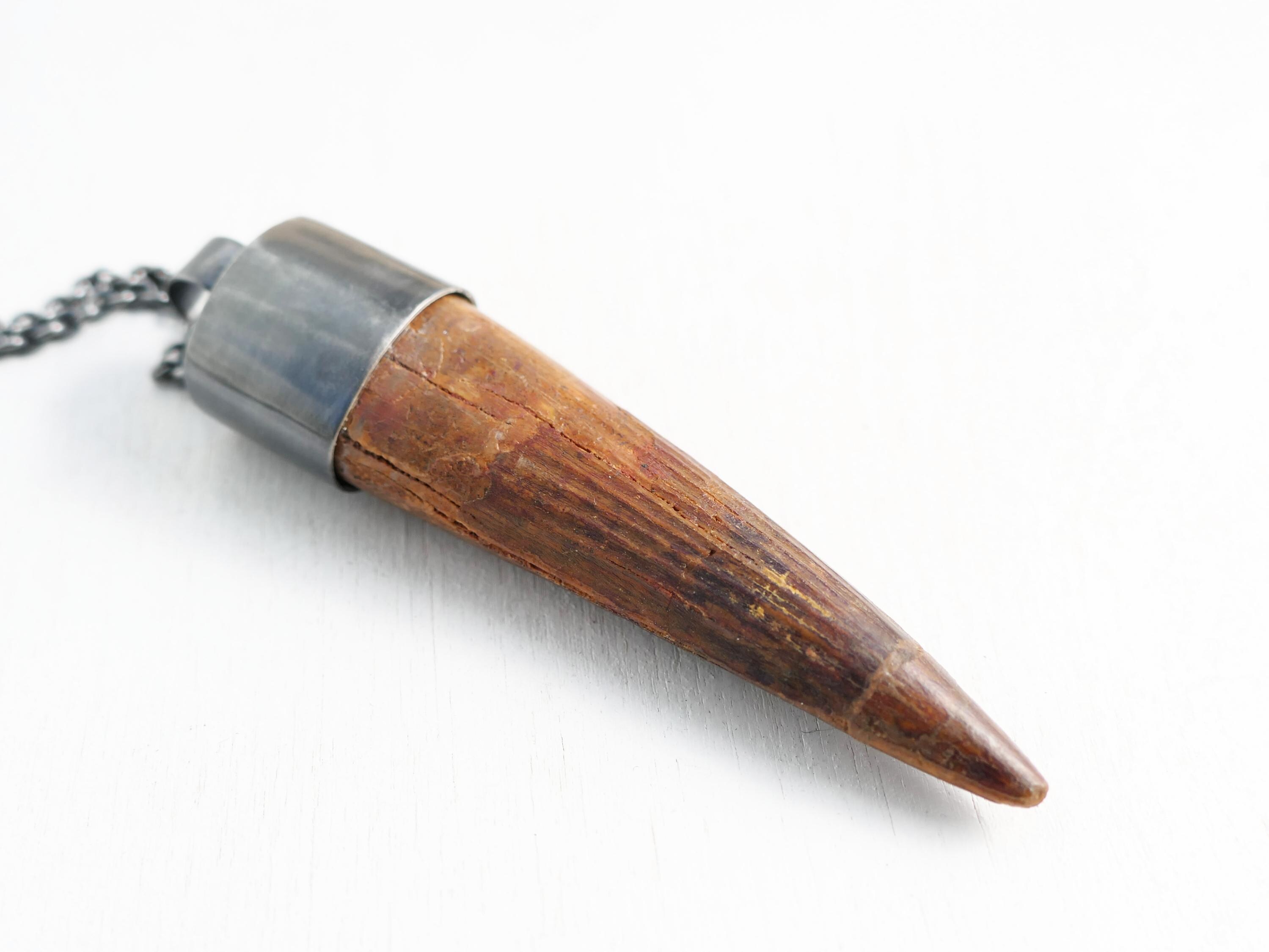 Huge Spinosaurus Tooth Necklace: Authentic Fossilized Dino Pendant