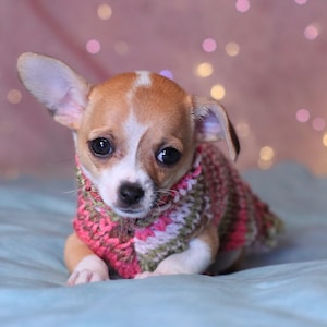 Chihuahua puppy sweater * Tea Cup Chihuahua sweater * Chihuahua clothing * Hand knitted chihuahua sweater * Chihuahua gift * puppy sweater