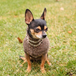 Chihuahua sweater * Small dog sweater * Dog sweater * Chihuahua clothing  * Chihuahua gift * Clothes for chihuahua * Hand knit dog sweater