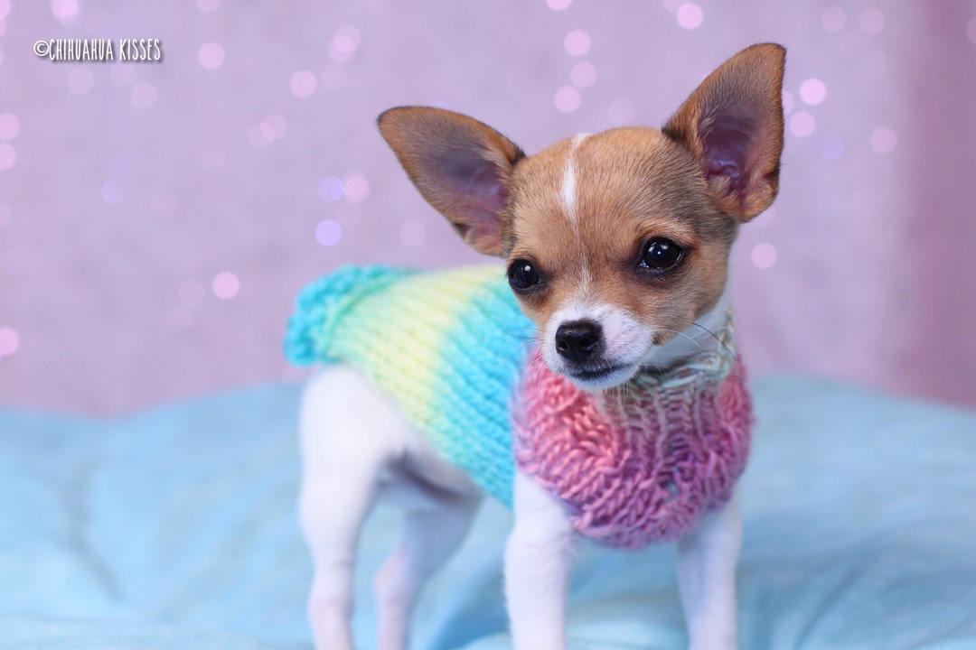 Chihuahua Puppy Sweater Tea Cup Chihuahua Sweater Chihuahua Clothing