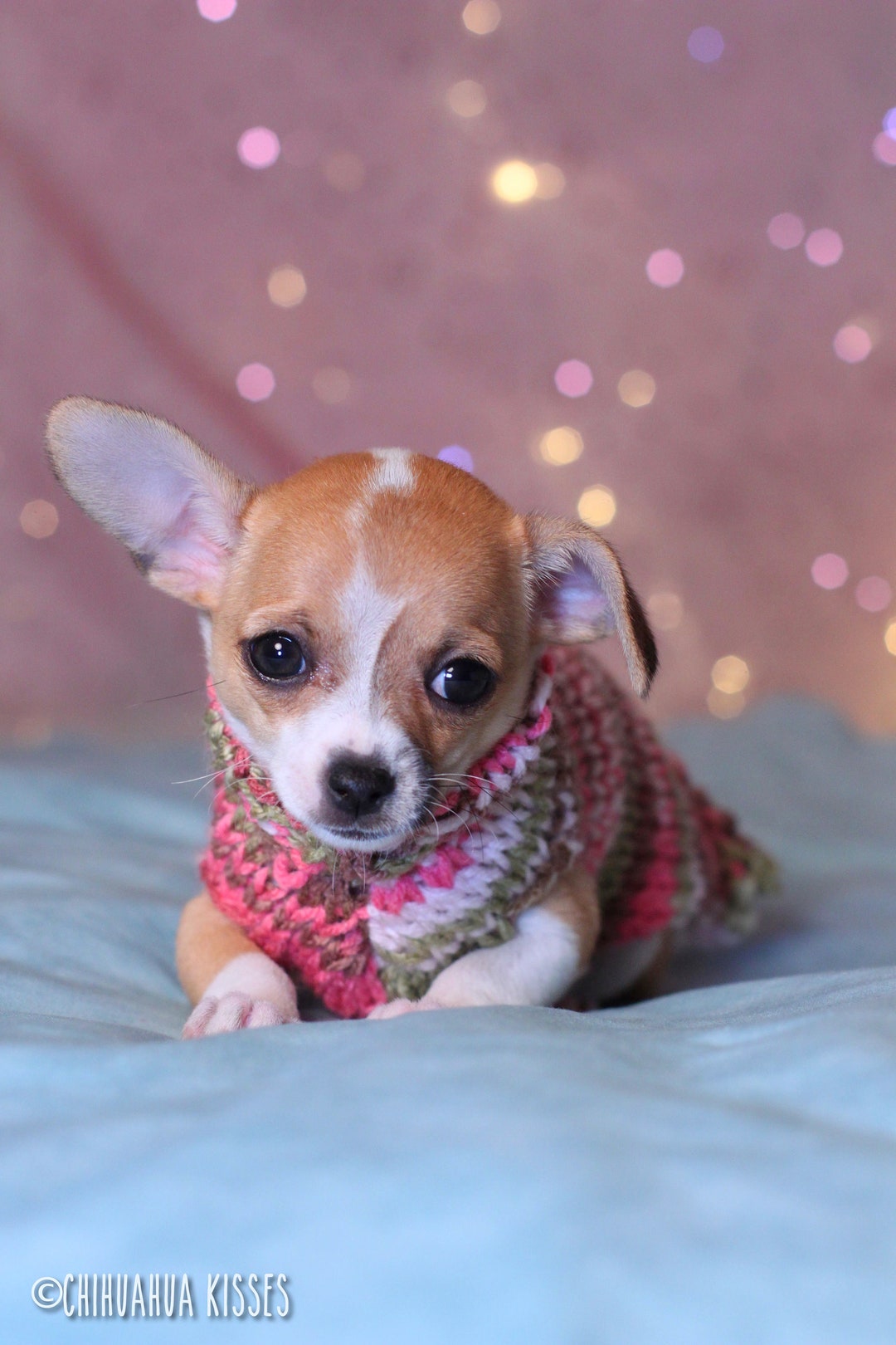 Chihuahua Puppy Sweater Tea Cup Chihuahua Sweater Chihuahua Clothing