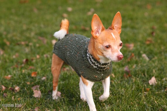Chihuahua Sweater Small Dog Sweater Dog Sweater Chihuahua Clothing Hand Knit Dog Sweater Chihuahua Gift Clothes for Chihuahua Etsy Ireland