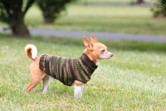 That's My Boy Collection * Chihuahua sweater * Chihuahua clothes * Hand knitted chihuahua sweater * Chihuahua gift * small dog sweater That's My Boy Collection * Chihuahua sweater * Chihuahua clothes * Hand knitted chihuahua sweater * Chihuahua gift * small dog sweater